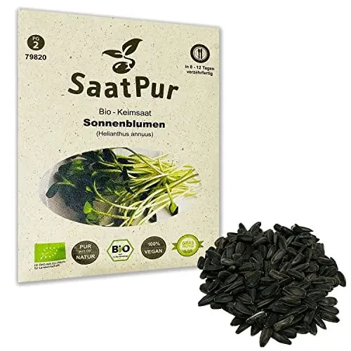 Produktbild: Sonnenblumen BIO Keimsprossen von SaatPur - Sprossen, Microgreens - 50g
