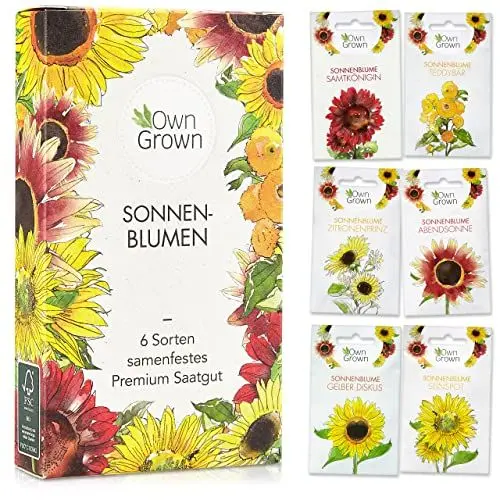 Produktbild: Sonnenblumen Samen Set - Sonnenblumen Saatgut mit 6 Sorten - Blumen Geschenk Set mit Riesen Sonnenblumen Samen und Sonnenblumen Samen klein - Blumensamen Sonnenblumen - Saatgut Blumen von OwnGrown