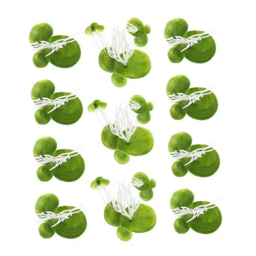Produktbild: Sosoport 1 Set Simulierte Wasserlinsenpflanze Teichlandschaft Miniatur Tankzubehör Blattpflanzen Wasserornamente Künstliche Aquarienpflanzen Tank Schwimmende Blätter Wasserlinsen