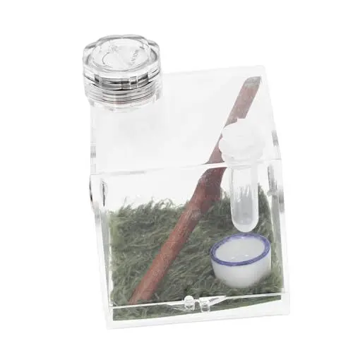 Produktbild: Sosoport 3stücke Transparente Springspinnen-Habitat-Box Mit Integriertem Lampenlicht Und Feuchtigkeitsregler Für Aufzucht Und Fütterung Von Springspinnen Und Insekten