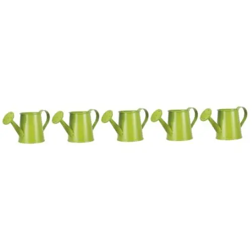 Produktbild: Sosoport 5st Blumentopf Sprinklereimer Kleine Mini-gießkanne Garten Gießkanne Kleine Gießkanne Sprühflasche Kräutertöpfe Pflanzenbewässerungsvorrichtung Kaktus-pflanztopf Eisen Green