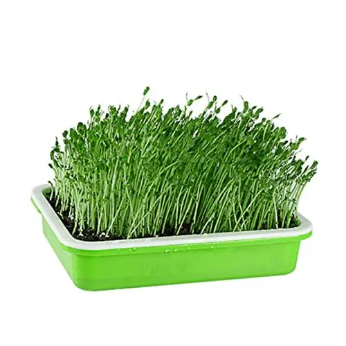 Produktbild: Sosoport Aufbewahrungsschale Für Obst Und Gemüse Schalen Aus Pp-Material Gitterdesign