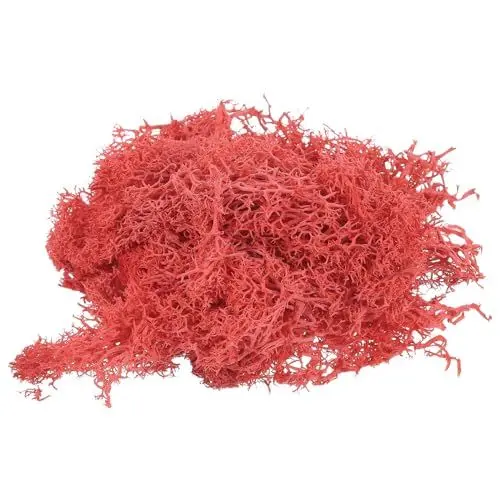 Produktbild: sourcing map 0,35 Unzen Moos Falsches Kunstmoos Künstliches Moos Natürliches Konserviertes für Bastelkunst, Florales DIY-Projekt, Wand, Hochzeit, Garten, Terrassen-Dekoration (Leuchtendes Rot)