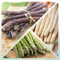 Produktbild: Spargel Pflanzen Kollektion (10 frigo A+ Pflanzen) - Winterhart und Mehrjährig - Mix von 5 Sorten- gekühlte schnellwachsende gemüse pflanzen aus Holland - Garten Pflanzen aus Holland (kein Samen)