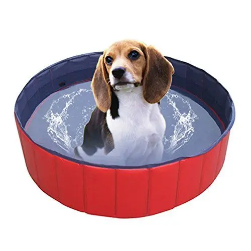 Produktbild: SPEED Doggy Pool Hunde POOL Hundepool 160x30cm Rot