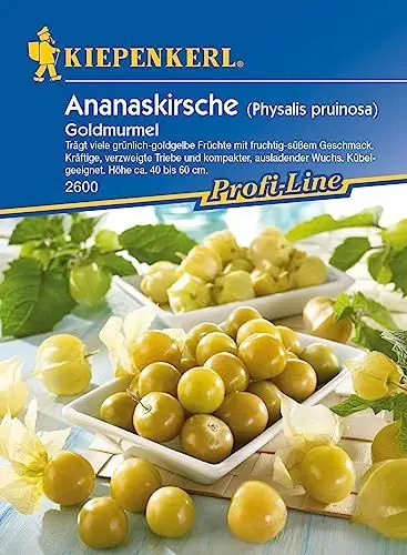 Produktbild: Sperli 2600 Gemüsesamen Ananaskirsche Goldmurmel, grün