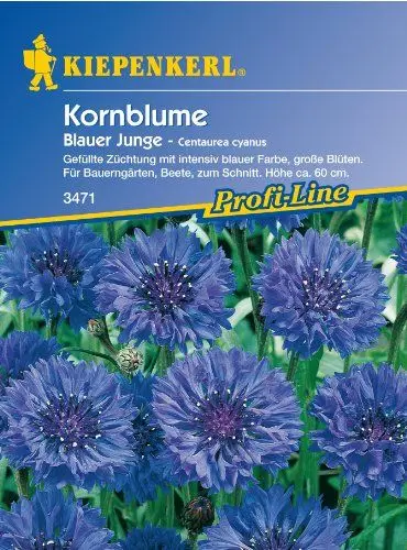 Produktbild: Sperli 3471 Blumensamen Kornblume blauer Junge, grün