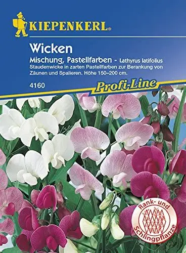 Produktbild: Sperli 4160 Blumensamen Staudenwicke Mischung, grün
