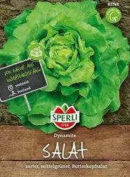 Produktbild: Sperli Kopfsalatsamen Dynamite 82798 - zarter Butterkopfsalat - ideal für das Freiland - Inhalt für 120 Pflanzen - Kopfsalat, Saatgut, Samen Salat