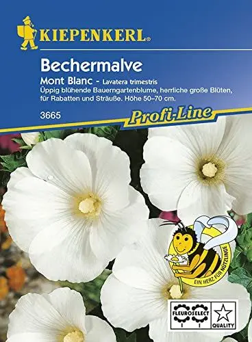 Produktbild: Sperli Blumensamen Bechermalve Mont Blanc, weiß/grün