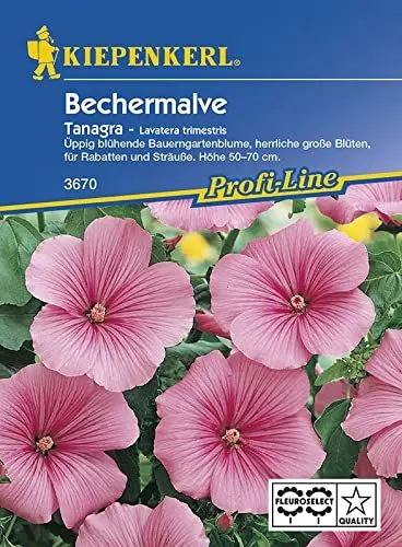 Produktbild: Sperli Blumensamen Bechermalve Tanagra, rosa/grün