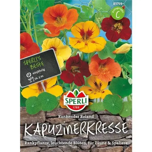 Produktbild: Sperli Blumensamen Kapuzinerkresse Rankender Roland, grün