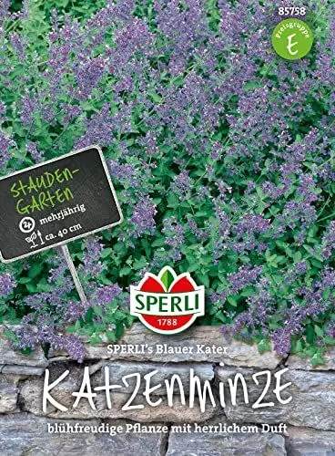 Produktbild: Sperli Blumensamen Katzenminze blauer Kater, grün