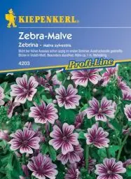 Produktbild: Sperli Blumensamen Malve Zebrina, grün
