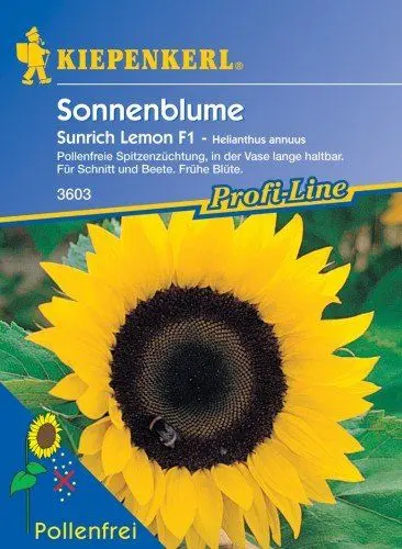 Produktbild: Sperli Blumensamen Sonnenblume Sunrich Lemon, F1, grün