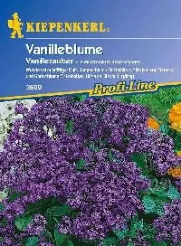 Produktbild: Sperli Blumensamen Vanilleblume Vanillezauber, grün
