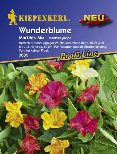 Produktbild: Sperli Blumensamen Wunderblume Marbles-Mix, grün
