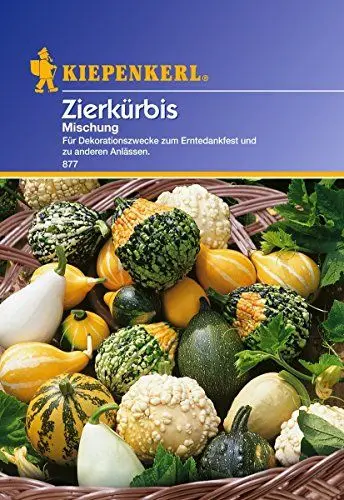 Produktbild: Kiepenkerl Zierkürbissamen Mischung 877 - Ideal für Dekorationszwecke - Wuchshöhe bis zu 3 Metern - Inhalt für ca. 20 Pflanzen - Saatgut, Gemüsesamen