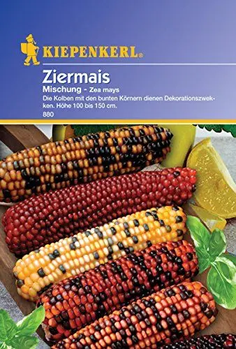 Produktbild: Sperli Blumensamen Ziermais Mischung, grün