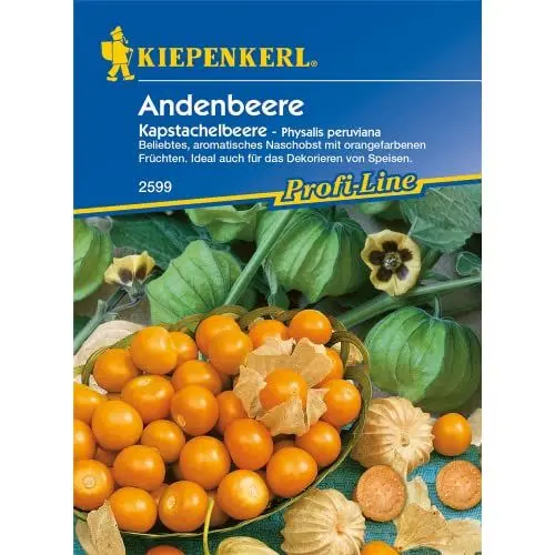 Produktbild: Sperli Gemüsesamen Andenbeere Kapstachelbeere, grün