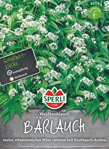 Produktbild: Sperli Gemüsesamen Bärlauch Waldknoblauch, grün