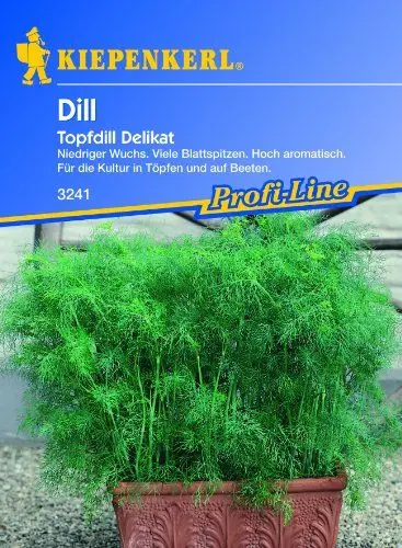 Produktbild: Sperli Gemüsesamen Dill (Topf) Delikat, grün