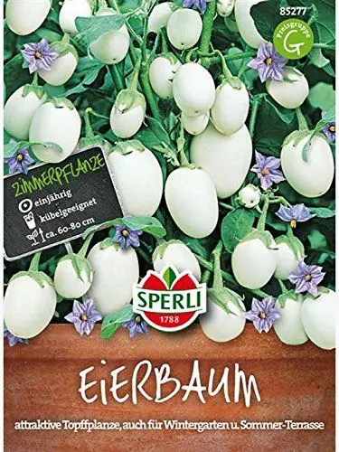 Produktbild: Sperli Gemüsesamen Eierbaum, grün