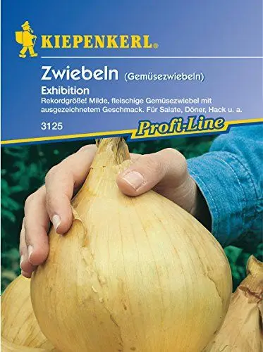 Produktbild: Sperli Gemüsesamen Gemüsezwiebel Exhibition, grün