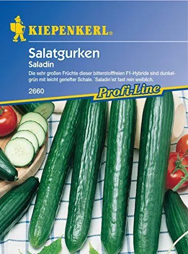Produktbild: Sperli Gemüsesamen Gurken Saladin, F1, grün
