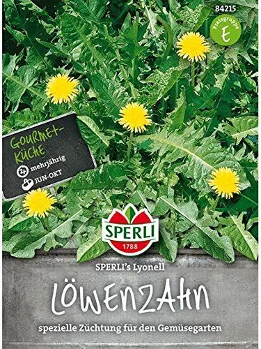 Produktbild: Sperli Gemüsesamen Löwenzahn Lyonell, grün