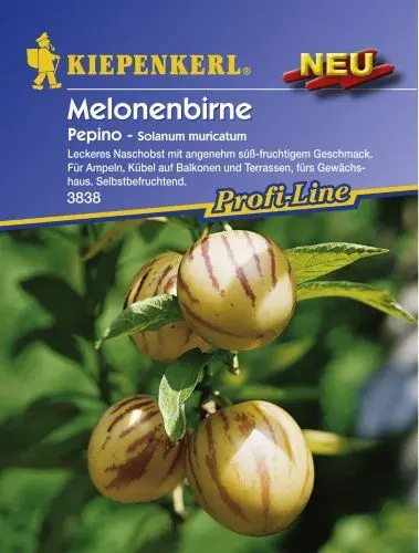 Produktbild: Sperli Gemüsesamen Melonenbirne Pepino, grün