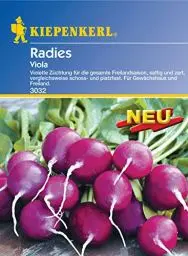 Produktbild: Sperli Gemüsesamen Radieschen Viola, grün