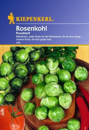 Produktbild: Sperli Gemüsesamen Rosenkohl Roodnerf, grün