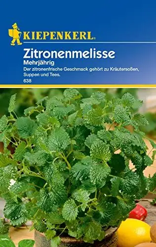 Produktbild: Sperli Gemüsesamen Zitronenmelisse mehrjährig, grün