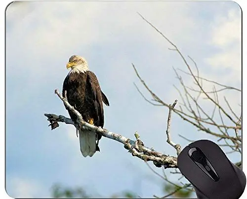 Produktbild: Spiel-Mausunterlage Gewohnheit, Falkenadler-Vogel-Gebirgsthema-Mausunterlage mit genähtem Rand