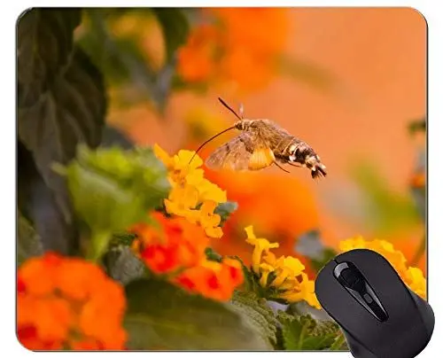 Produktbild: Spiel-Mausunterlage Gewohnheit, orange Nektar der Kolibri-Motte Mauspad