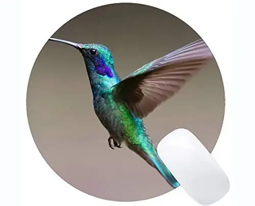 Produktbild: Spiel-runde Mausunterlage Gewohnheit, Kolibri-Vogelfliegenfeder Mauspad