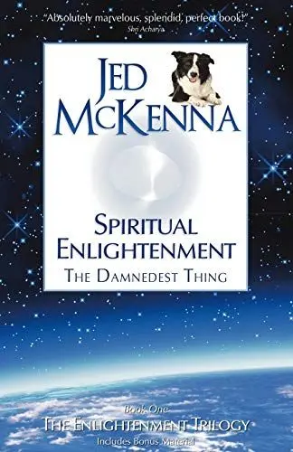 Produktbild: Spiritual Enlightenment, the Damnedest Thing: Book One of The Enlightenment Trilogy