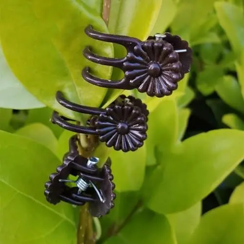 Produktbild: Stabile und zuverlässige braune Orchideen-Clips zur Unterstützung von Kletterpflanzen, Bohnen und Tomatenpflanzen (10 Stück)