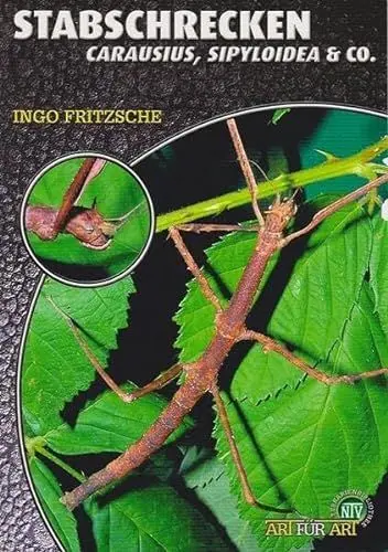 Produktbild: Stabschrecken: Carausius, Sipyloidea & Co. (Buchreihe Art für Art Terraristik)