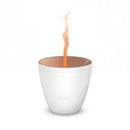 Produktbild: Stadler Form Aroma Diffuser Zoe verströmt ätherische Öle mit einzigartigem Flammen-Effekt, für entspannende Aromatherapie, weiss