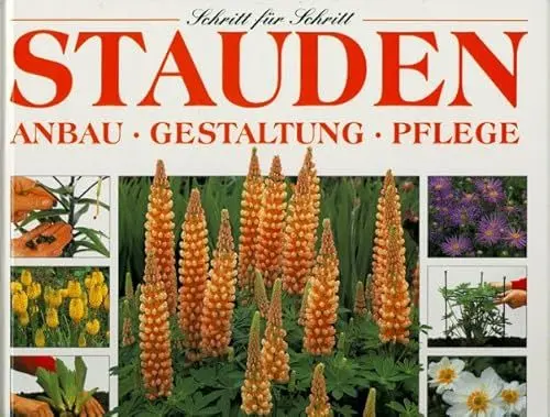 Produktbild: Stauden: Anbau, Gestaltung, Pflege