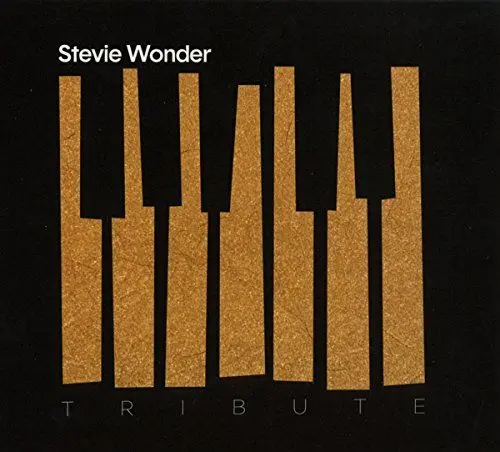 Produktbild: Stevie Wonder Tribute