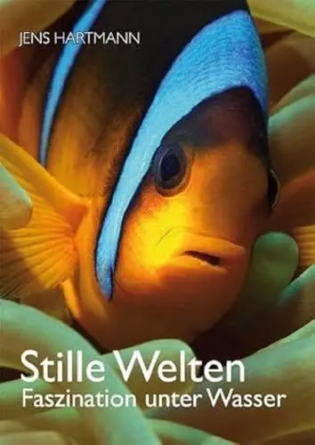 Produktbild: Stille Welten: Faszination unter Wasser