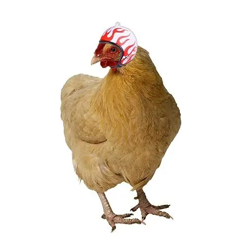 Produktbild: STOBOK 3st Hühnerhelm Lustiges Haustierzubehör Vogel Helm Hut Kostümzubehör Für Hähnchen Hundehelm Zubehör Für Haustierkostüme Haustierkostümzubehör Schutzhelm Für Haustiere Plastik