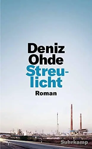 Produktbild: Streulicht: Roman (suhrkamp taschenbuch)