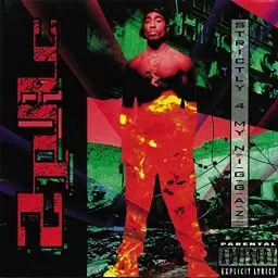 Produktbild: Strictly 4 My N.I.G.G.a.Z...(2lp) (Vinyl LP)