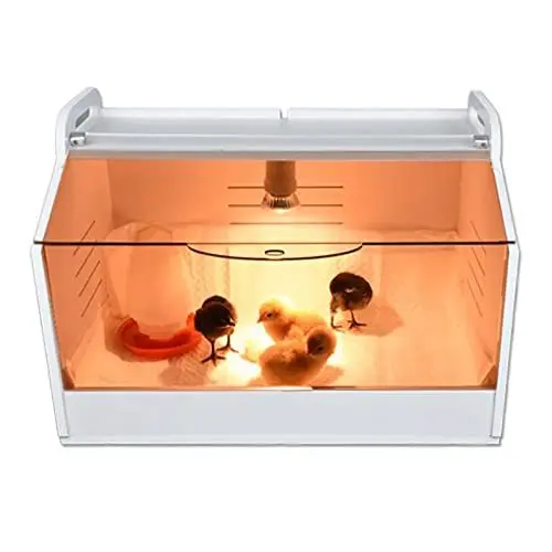 Produktbild: SUDEG Geflügel Kükenbrüter Brutbox Ausrüstung,Tech Kükenaufzuchtbox Komplettset,Kleintiere Manuelle Inkubatorheizung, mit Transparente Öffnung,Hühnerbrutkasten Heimbrutkasten für Hühnerenten,Vögel