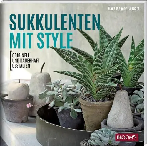 Produktbild: Sukkulenten mit Style: Originell und dauerhaft gestalten