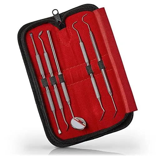 Produktbild: Sunglow 5er Zahnpflege Set | Dental Set mit Zahnspiegel und 4x Zahnsonde zur Zahnreinigung und als Zahnsteinentferner – Zahnreinigungsset aus hochwertigem Edelstahl für die ideal Mundpflege